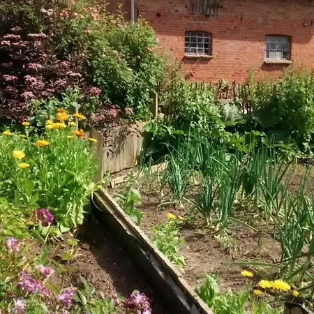 Lantgård Kleiner Bauernhof In Ostseenaehe - Ganze Mit 2 Zimmern Testorf-Steinfort