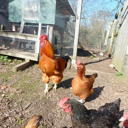 Lantgård Kleiner Bauernhof In Ostseenaehe - Ganze Mit 2 Zimmern