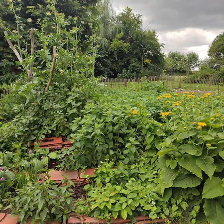 Kleiner Bauernhof In Ostseenaehe - Ganze Mit 2 Zimmern * Testorf-Steinfort